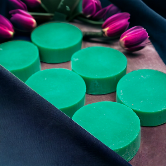 Shampoing Solide à L'ALOE VERA - ANTI FRISOTTIS