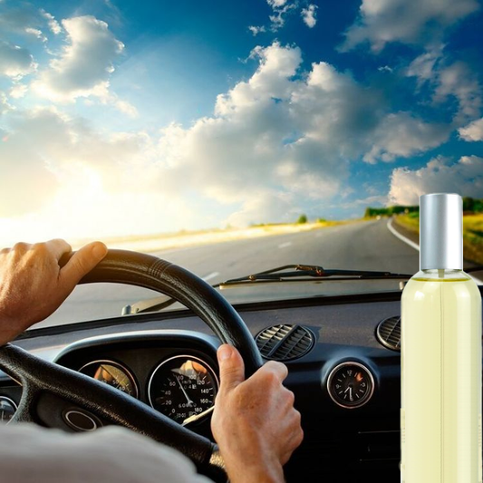 🆕Vaporisateur d'ambiance"NOUVELLE VOITURE - CUIR"🆕