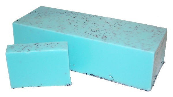 Savon artisanal ALOÉ VERA- Collection "Sauvage&Naturel"